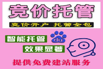 SEM广告案例：精准投放实现业绩增长